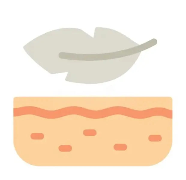 Boosts freshness and confidence all day.